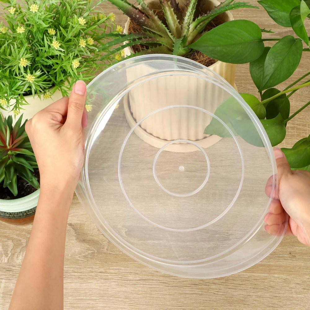 Clear Plant Saucers 4-22 Inch, - Drip Tray Saucer บทวิจารณ์และราคา