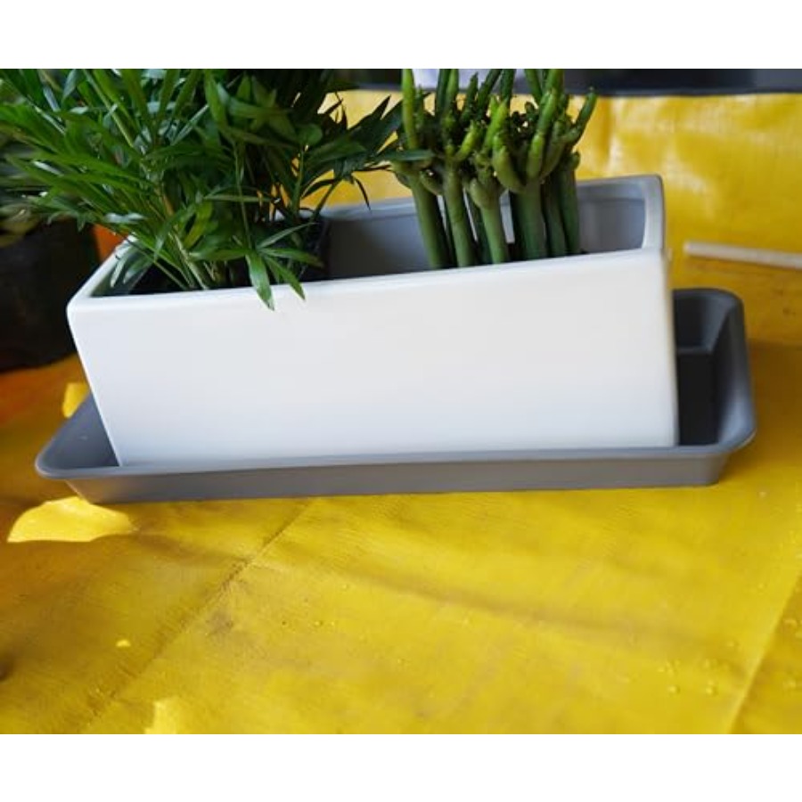 2 Pack of Plastic Plant Tray S - Drip Tray Saucer บทวิจารณ์และราคา