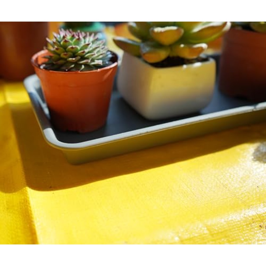 2 Pack of Plastic Plant Tray S - Drip Tray Saucer บทวิจารณ์และราคา