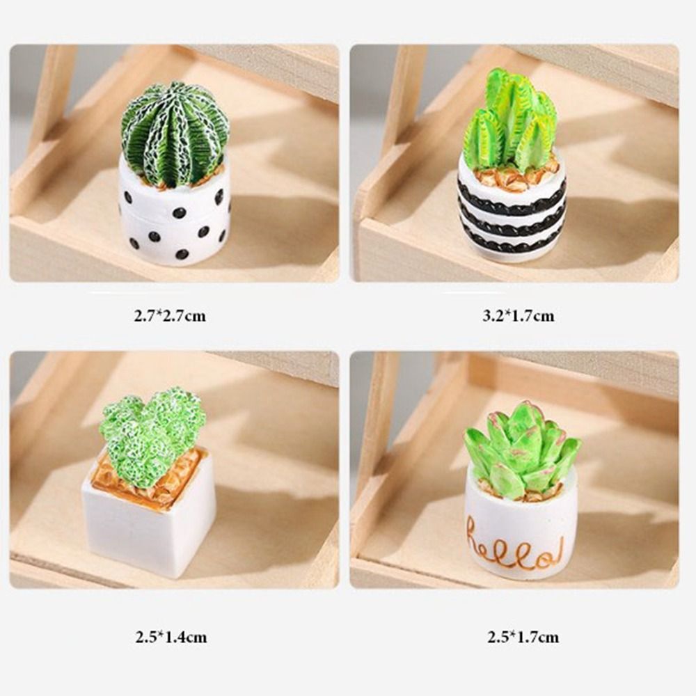 1:12 Dollhouse Miniature Potte - Bonsai Garden For Home บทวิจารณ์และราคา