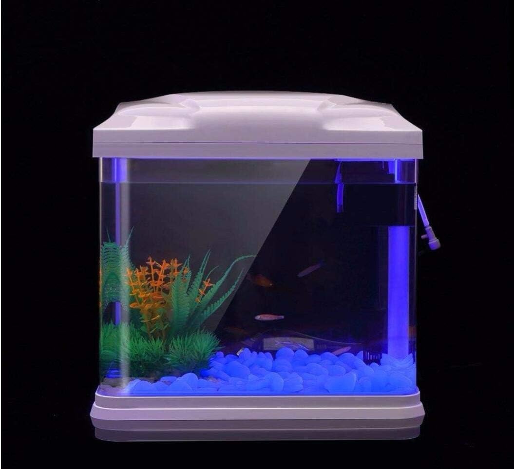 Fish Tank Rocks Glow Blue Pebb - Bonsai Garden Kit บทวิจารณ์และราคา