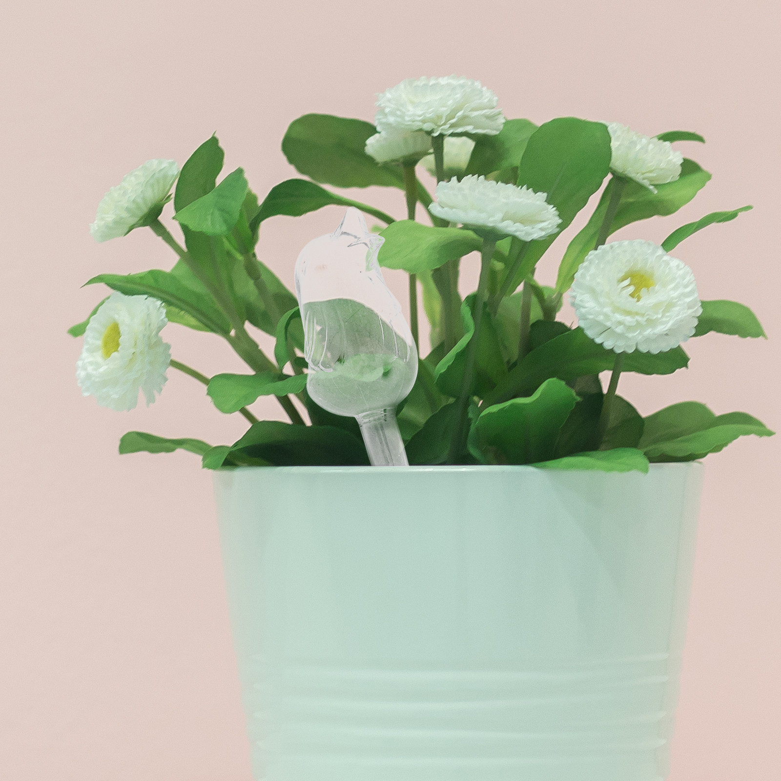 Glass Self-Watering Globes Aut - Bonsai Garden Plants บทวิจารณ์และราคา