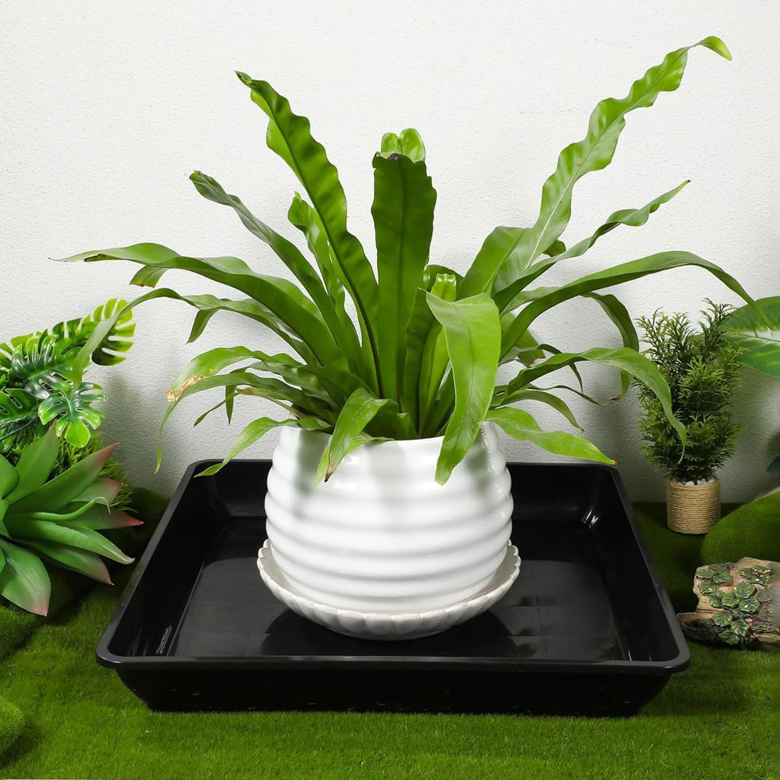 2 Pcs Flower Pot Base Thickene - Drip Tray Saucer บทวิจารณ์และราคา