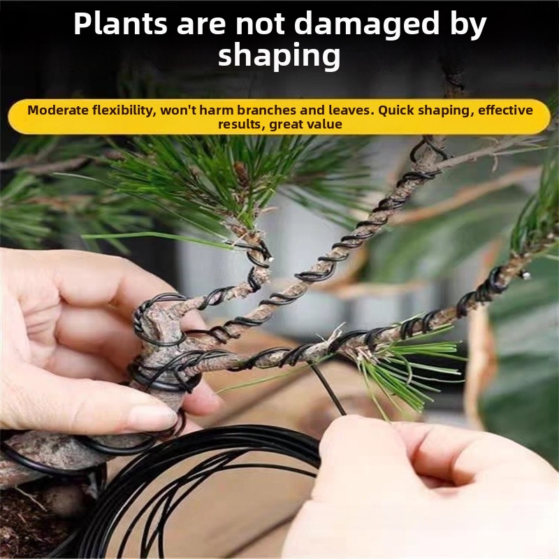 1.5MM Bonsai Wires Aluminum Bo - Bonsai Garden Plants บทวิจารณ์และราคา