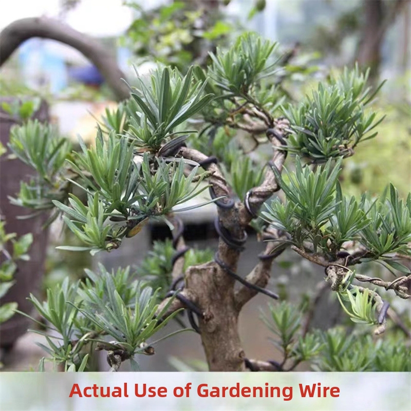 1.5MM Bonsai Wires Aluminum Bo - Bonsai Garden Plants บทวิจารณ์และราคา