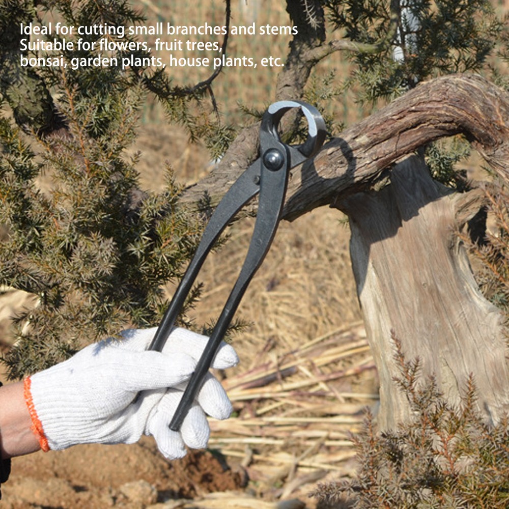 Manganese Steel Bonsai Branch  - Concave Branch Cutter บทวิจารณ์และราคา