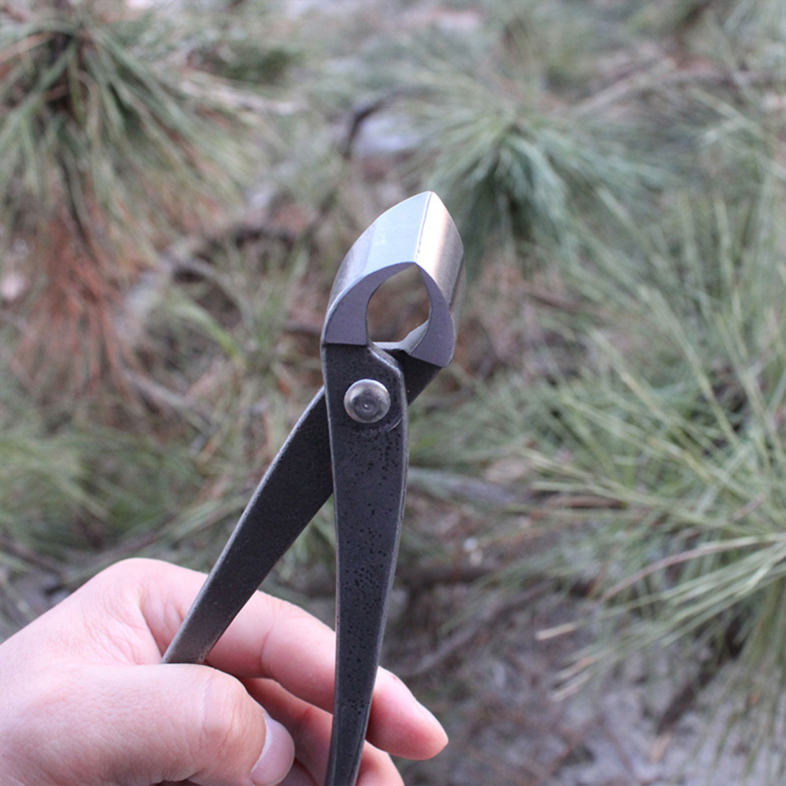 Garden Bonsai Knob Cutter Conc - Concave Branch Cutter บทวิจารณ์และราคา