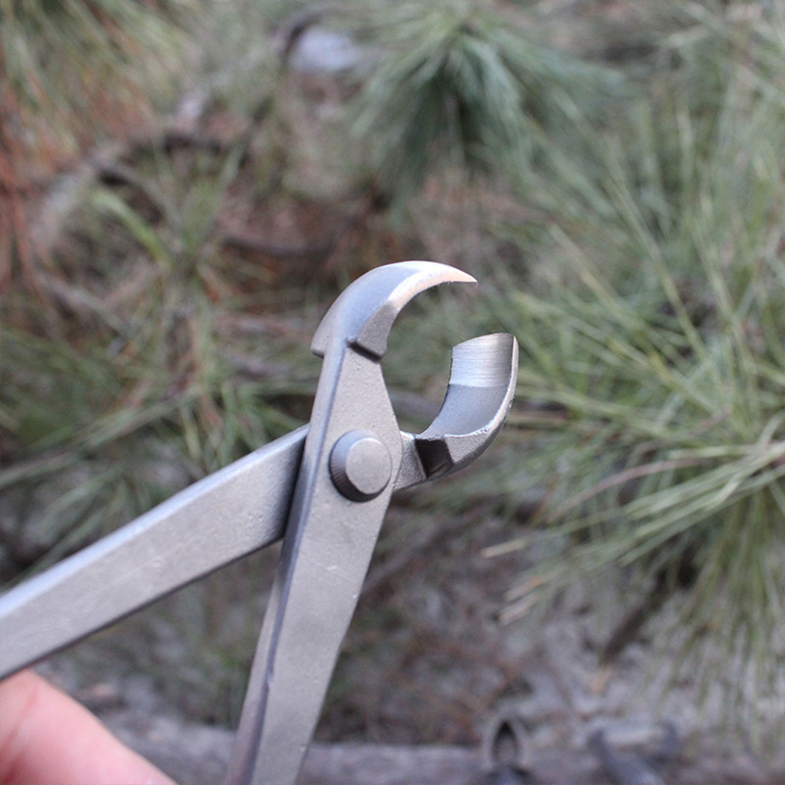 Garden Bonsai Knob Cutter Conc - Concave Branch Cutter บทวิจารณ์และราคา