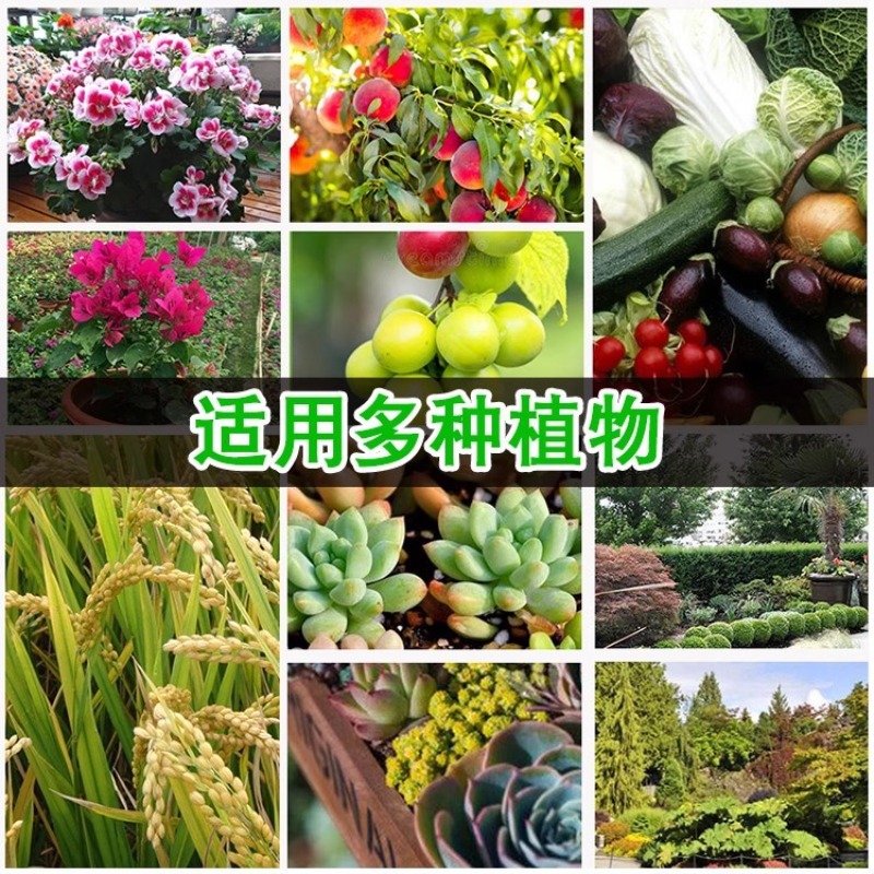 Organic fertilizer Flower fert - Bonsai Soil Akadama บทวิจารณ์และราคา