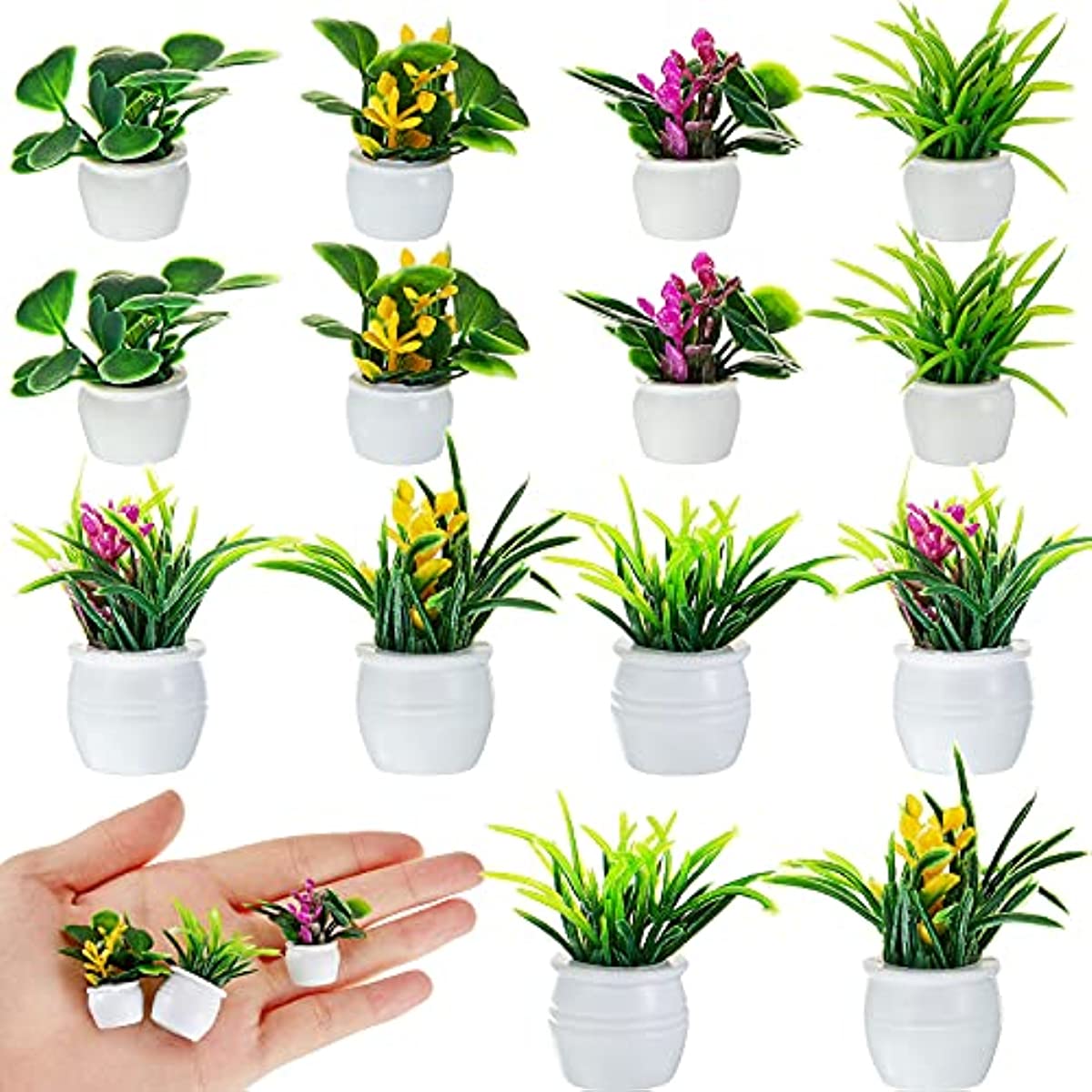 Dollhouse Plant, Miniature Bon - Bonsai Garden Kit บทวิจารณ์และราคา