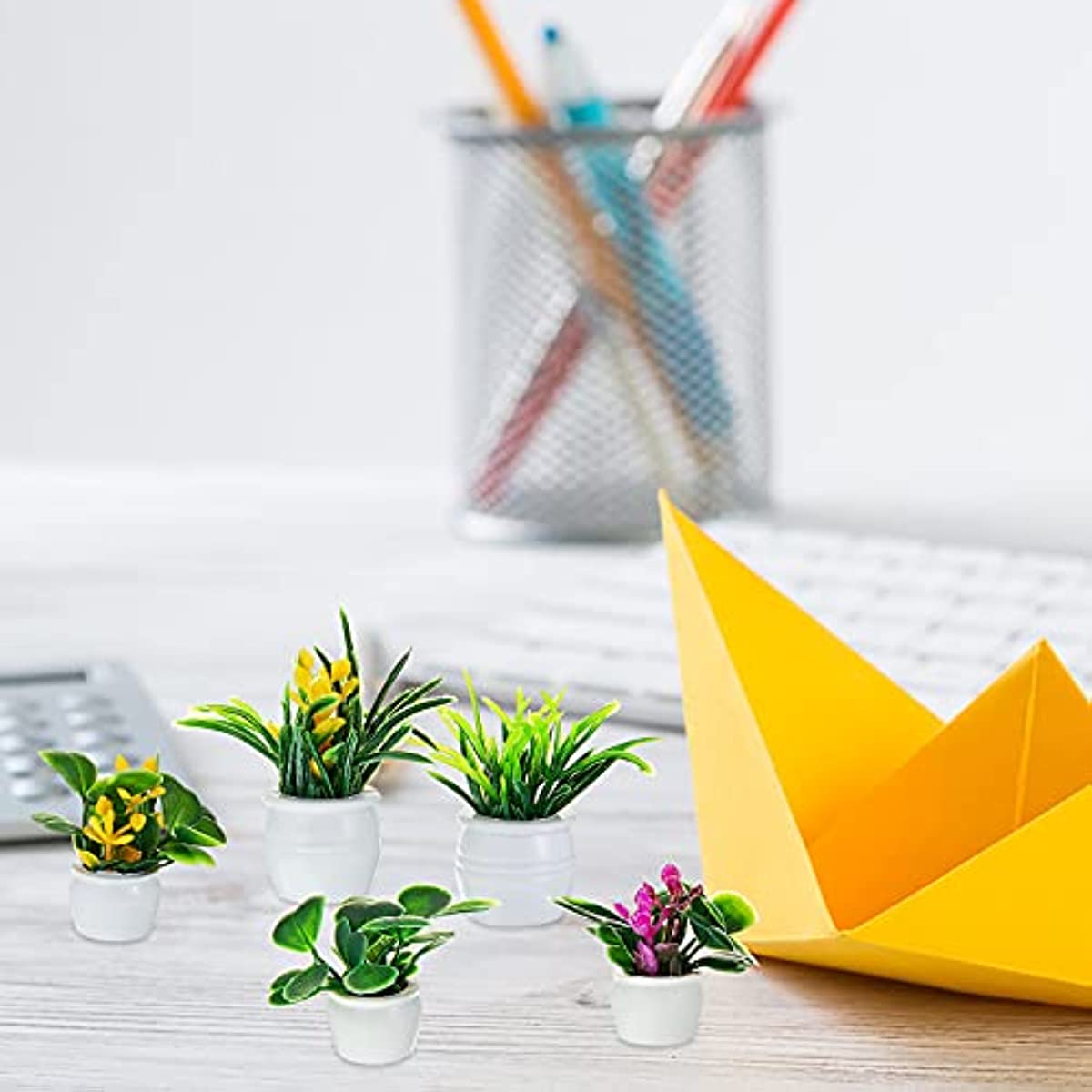 Dollhouse Plant, Miniature Bon - Bonsai Garden Kit บทวิจารณ์และราคา