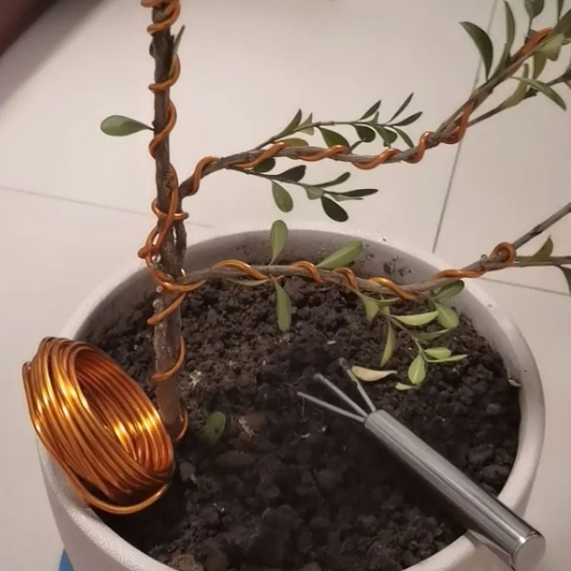 10/5M Plant Support Bonsai Wir - Concave Branch Cutter บทวิจารณ์และราคา