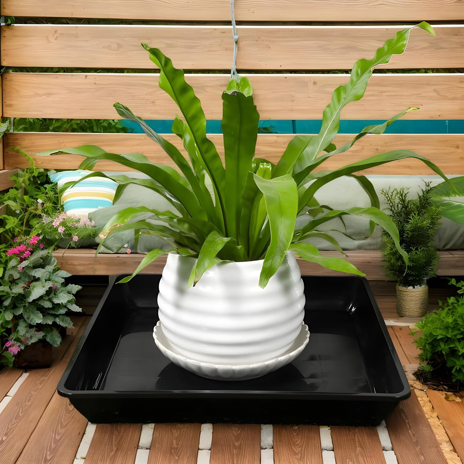 Plant Trays for Pots 2 Pieces  - Drip Tray Saucer บทวิจารณ์และราคา