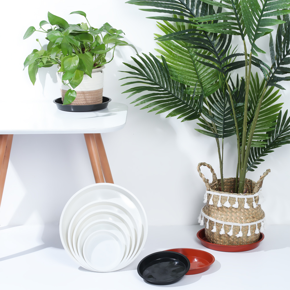 3Pcs Plant Saucer 4/6/7/8/10 i - Drip Tray Saucer บทวิจารณ์และราคา