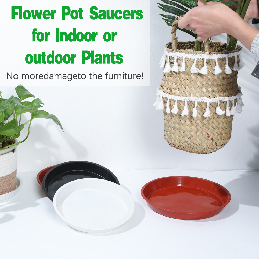3Pcs Plant Saucer 4/6/7/8/10 i - Drip Tray Saucer บทวิจารณ์และราคา