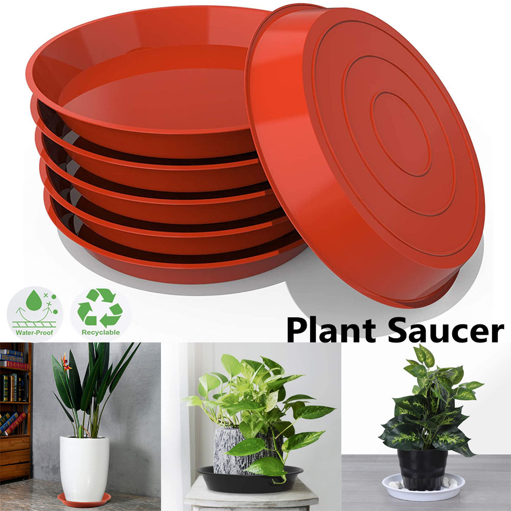 3Pcs Plant Saucer 4/6/7/8/10 i - Drip Tray Saucer บทวิจารณ์และราคา