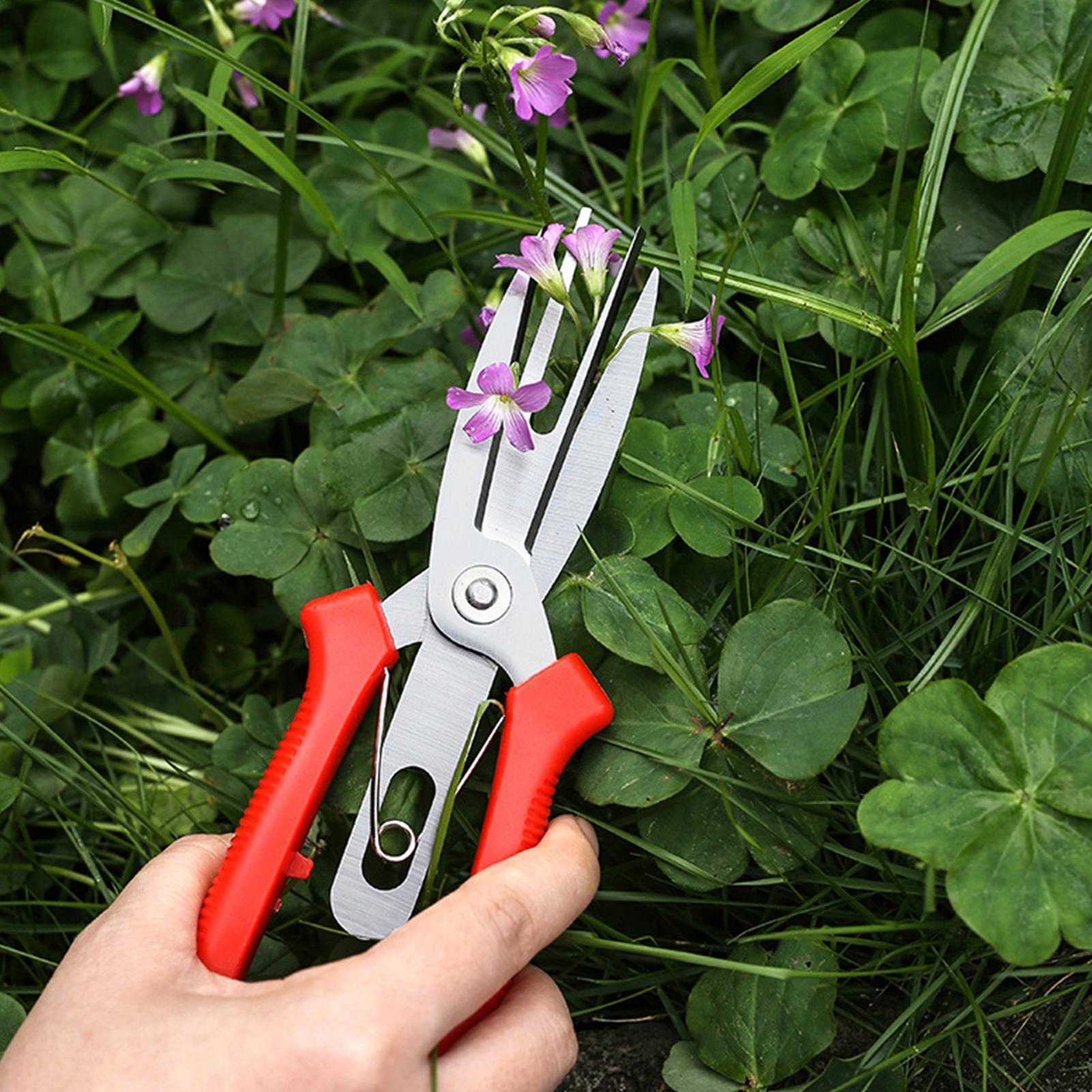Garden Shears Stainless Steel  - Bonsai Garden Plants บทวิจารณ์และราคา