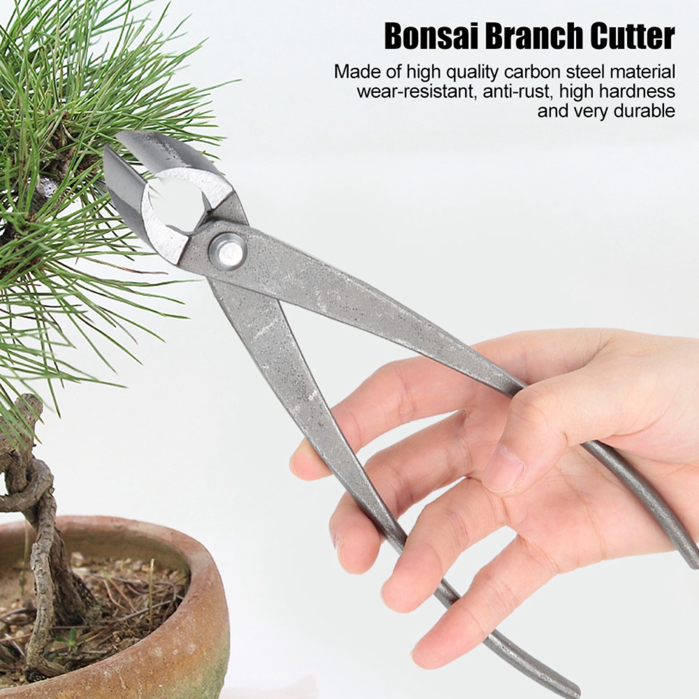 Stainless Steel Bonsai Branch  - Concave Branch Cutter บทวิจารณ์และราคา