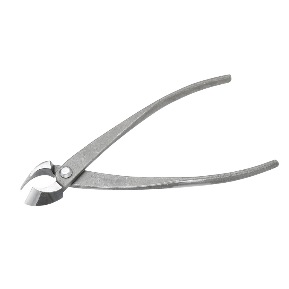 Stainless Steel Bonsai Branch  - Concave Branch Cutter บทวิจารณ์และราคา