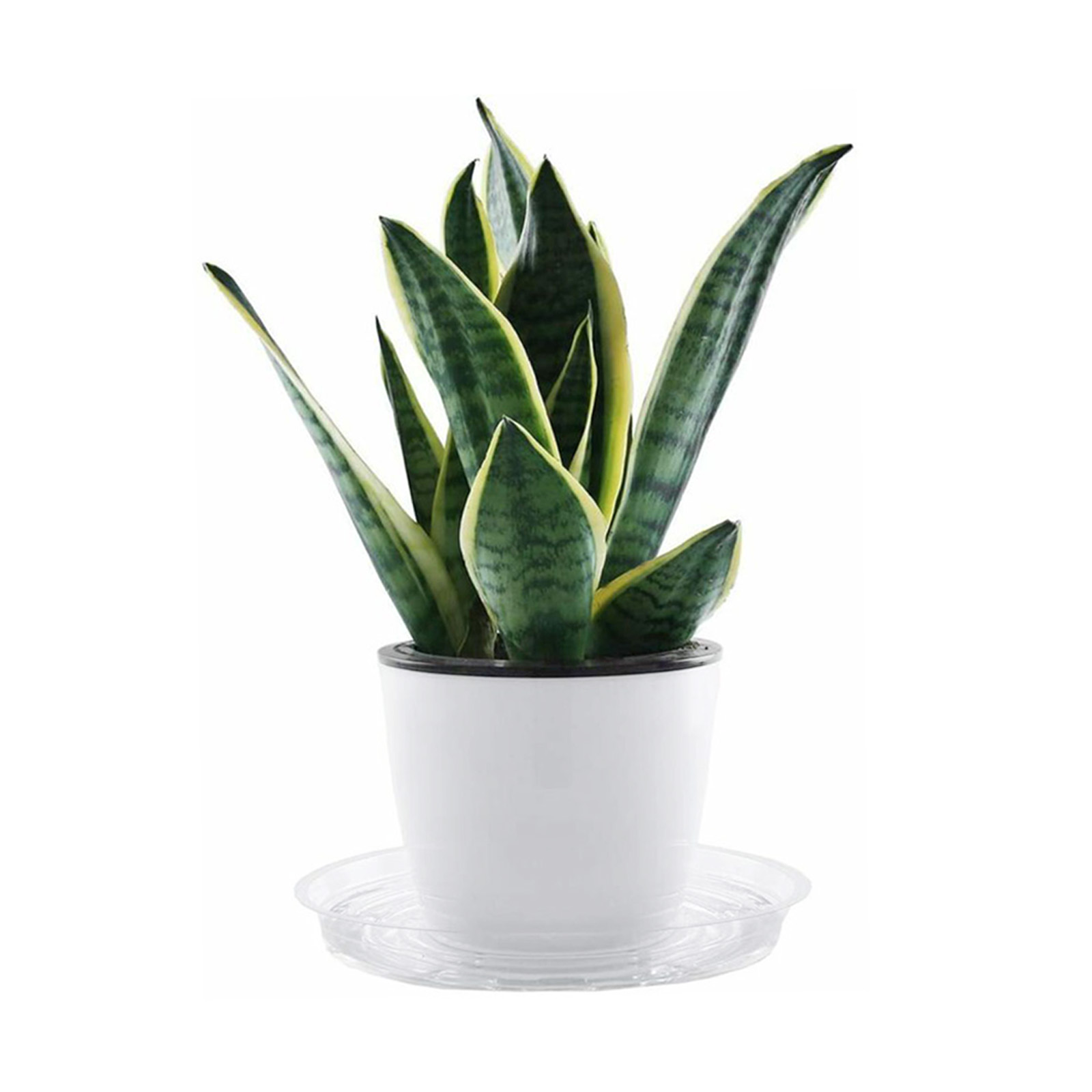 10pc Garden Plant Saucer Drip  - Drip Tray Saucer บทวิจารณ์และราคา