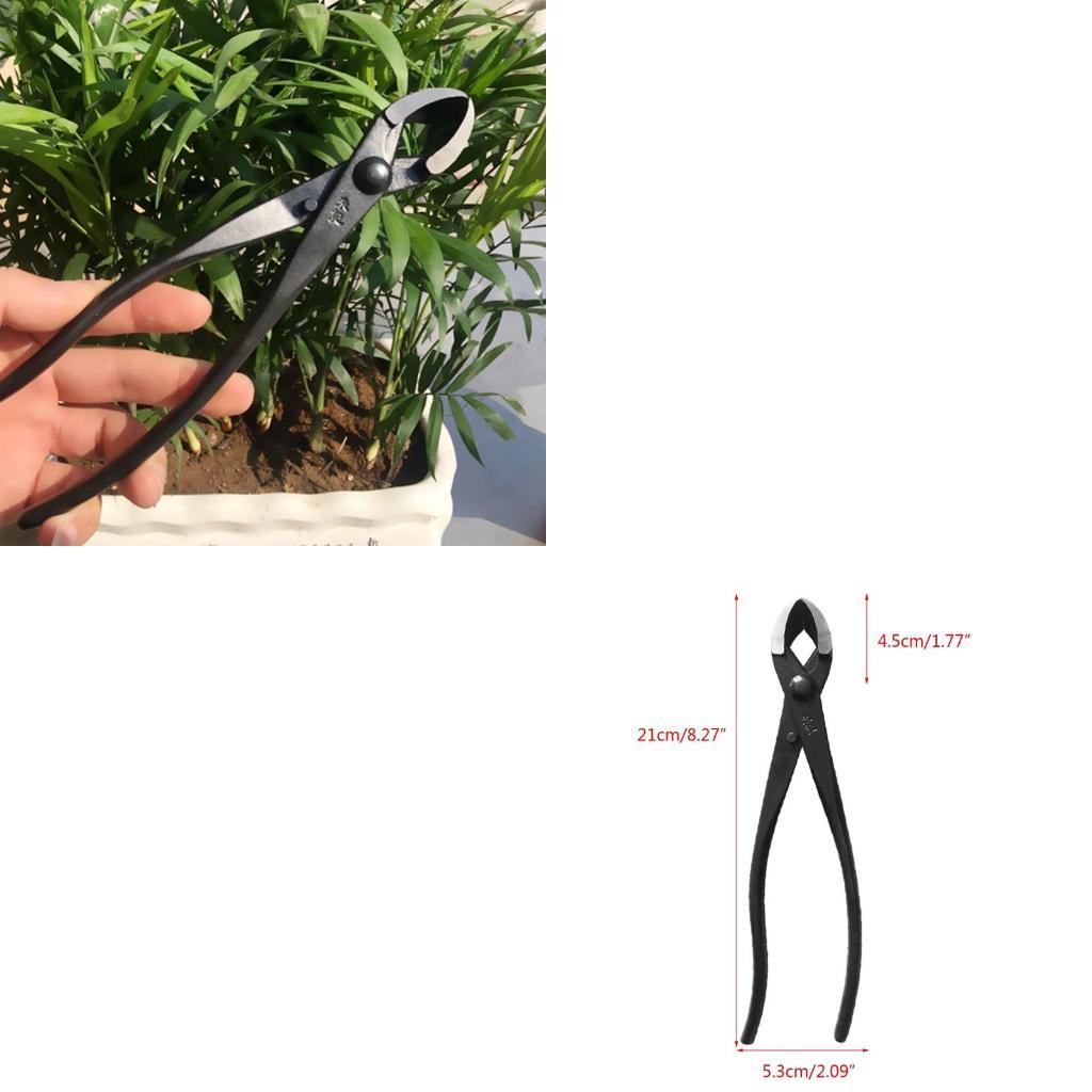 652F Sturdy Branch Cutter Carb - Concave Branch Cutter บทวิจารณ์และราคา