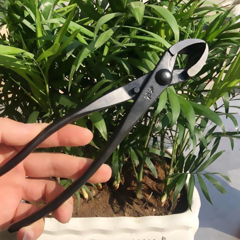 652F Sturdy Branch Cutter Carb - Concave Branch Cutter บทวิจารณ์และราคา