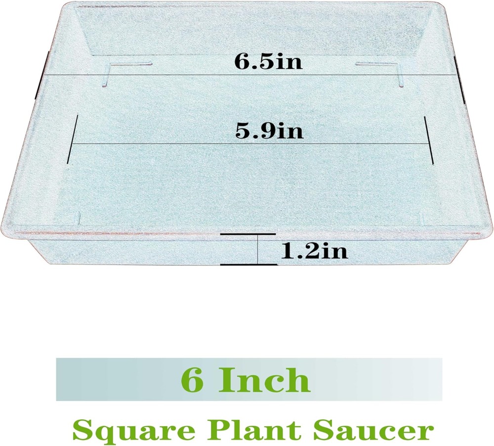 Square Plant Saucer 6 Inch 5 P - Drip Tray Saucer บทวิจารณ์และราคา