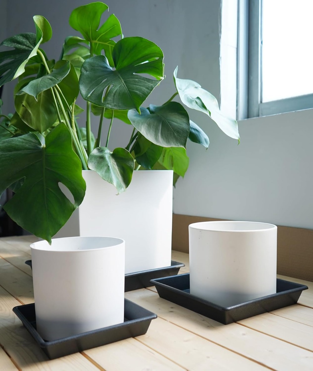 Square Plant Saucer 6 Inch 5 P - Drip Tray Saucer บทวิจารณ์และราคา