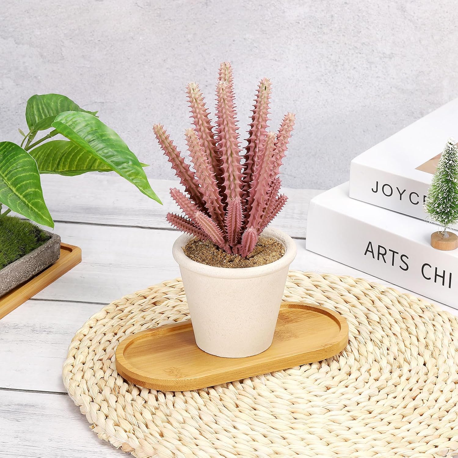4pcs Bamboo Plant Saucer Oval  - Drip Tray Saucer บทวิจารณ์และราคา