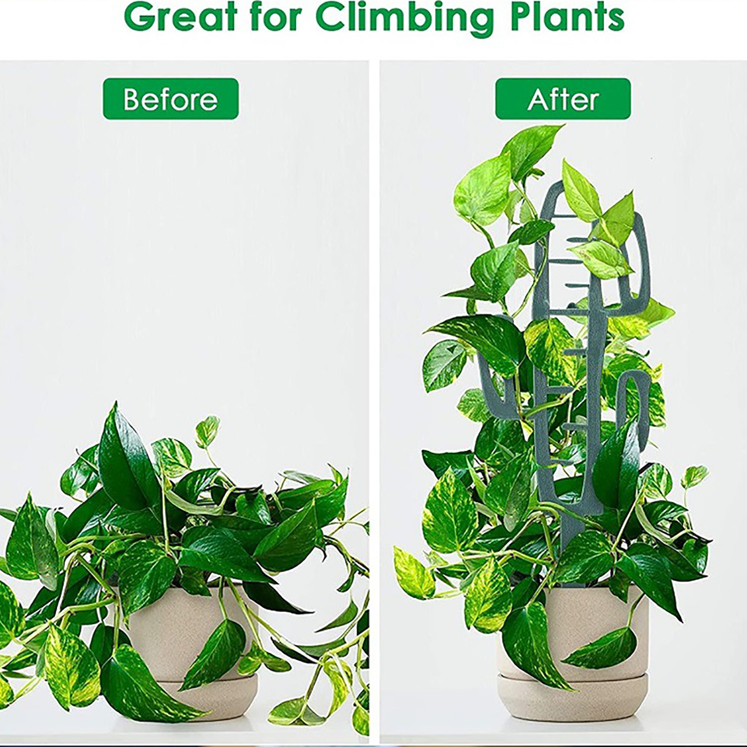 Plant Climbing Support Stand F - Bonsai Garden Kit บทวิจารณ์และราคา