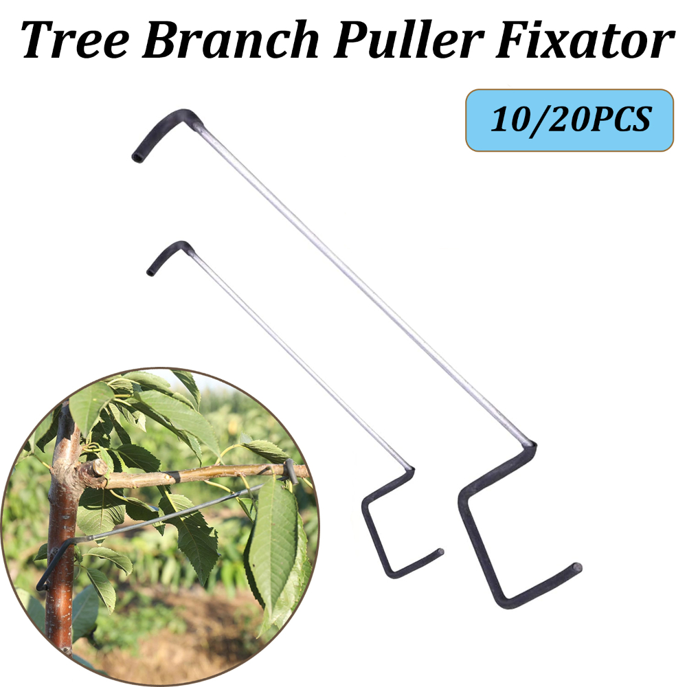 10/20PCS Fruit Tree Branch Lim - Concave Branch Cutter บทวิจารณ์และราคา