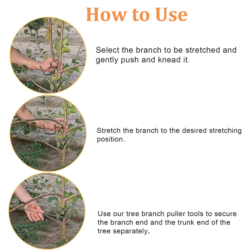 10/20PCS Fruit Tree Branch Lim - Concave Branch Cutter บทวิจารณ์และราคา