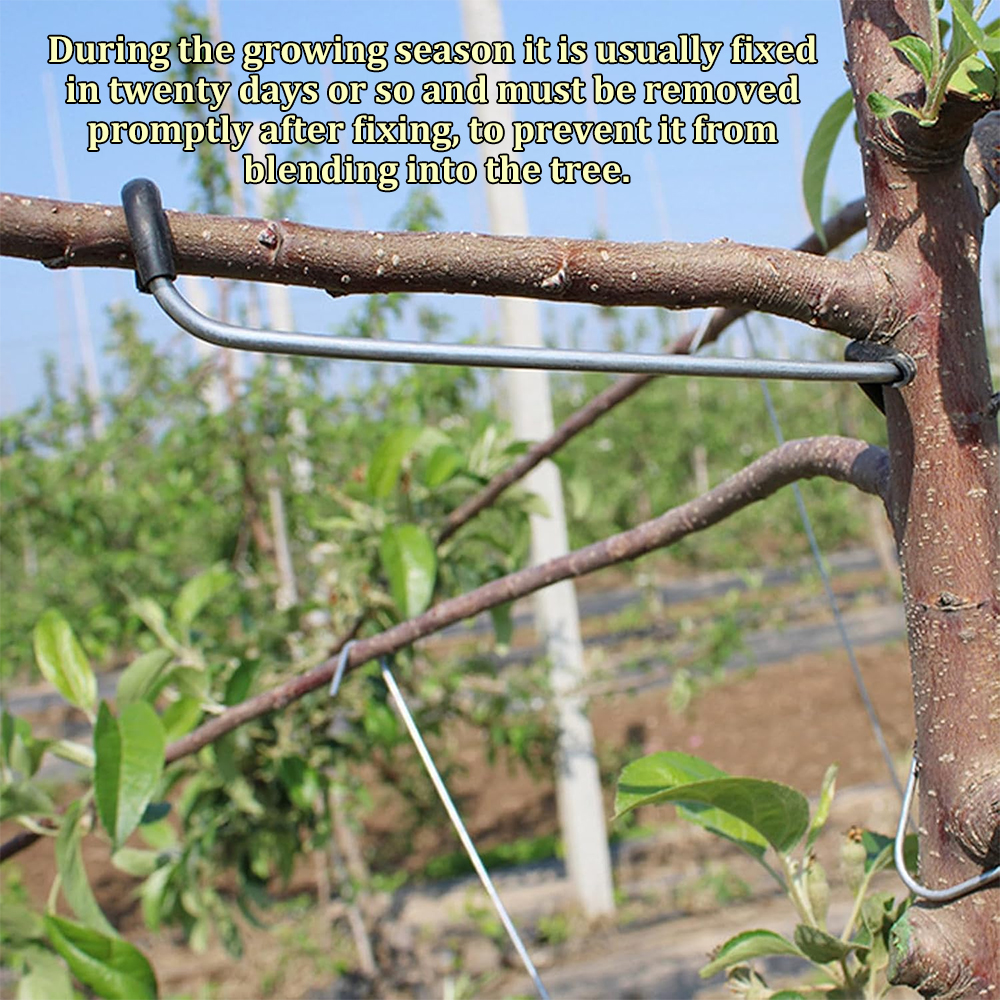10/20PCS Fruit Tree Branch Lim - Concave Branch Cutter บทวิจารณ์และราคา