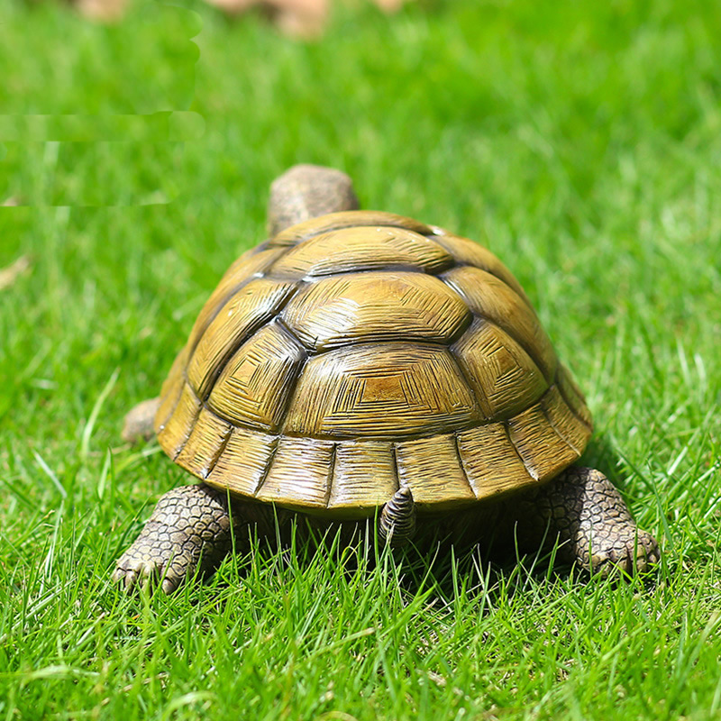 Cute Decorative Turtle Resin T - Bonsai Garden For Home บทวิจารณ์และราคา