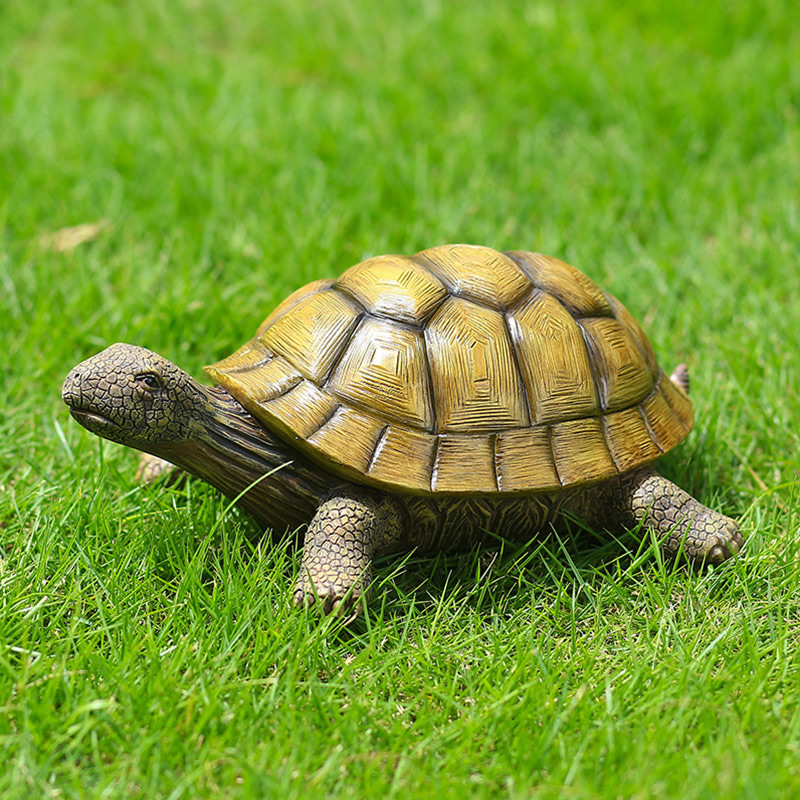 Cute Decorative Turtle Resin T - Bonsai Garden For Home บทวิจารณ์และราคา