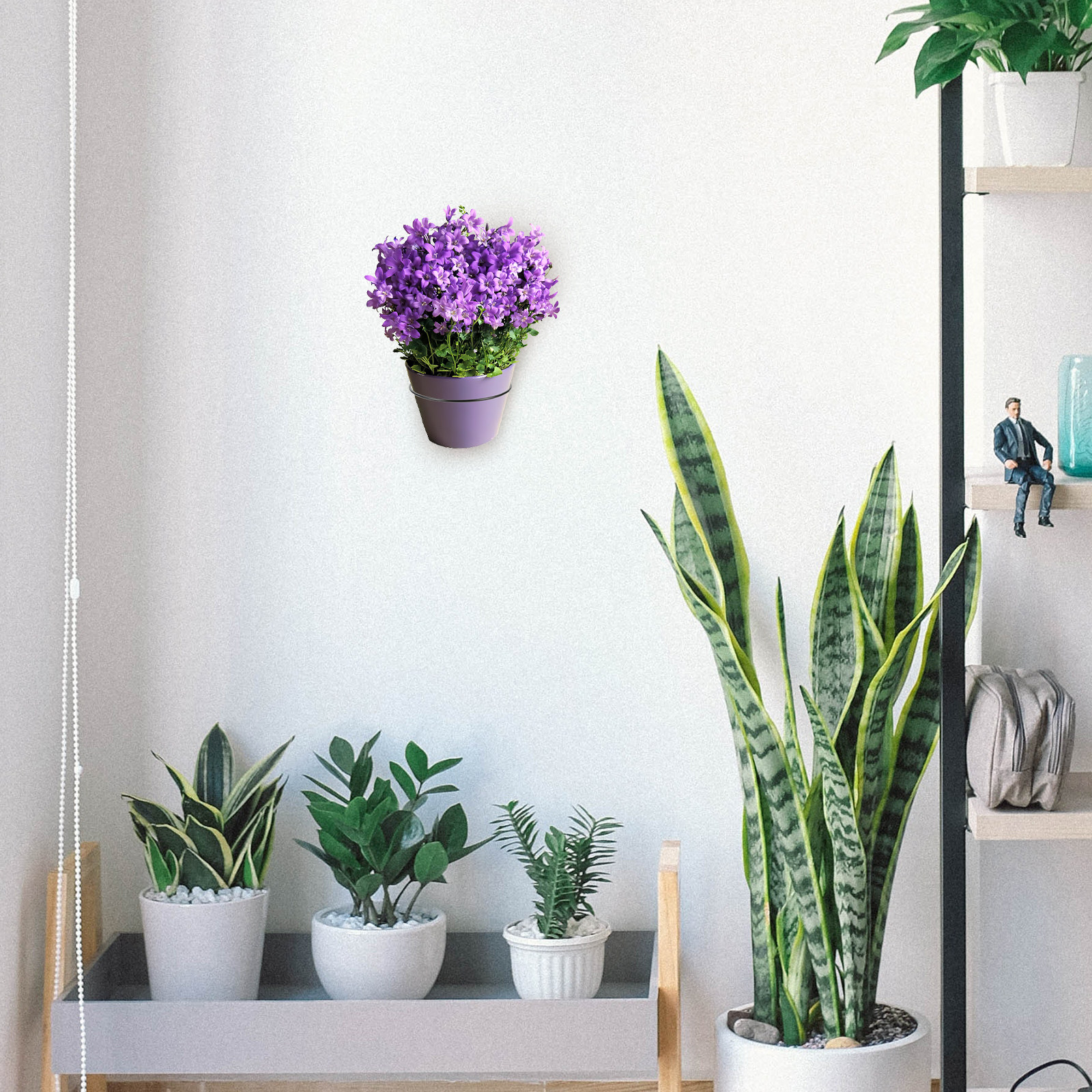 Iron Wall-Mounted Flowerpot Ra - Bonsai Garden Plants บทวิจารณ์และราคา