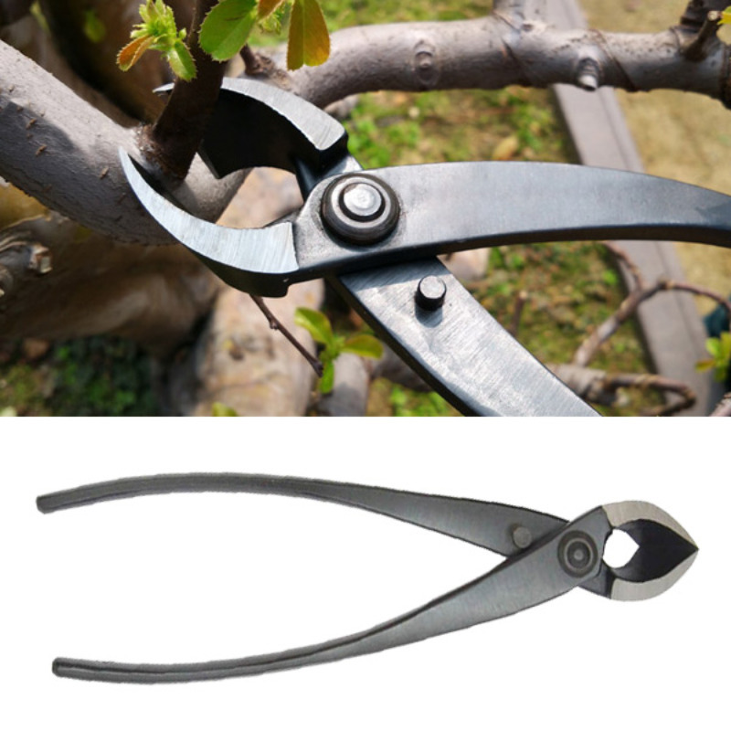 8 Inch Bonsai Concave Branch C - Concave Branch Cutter บทวิจารณ์และราคา