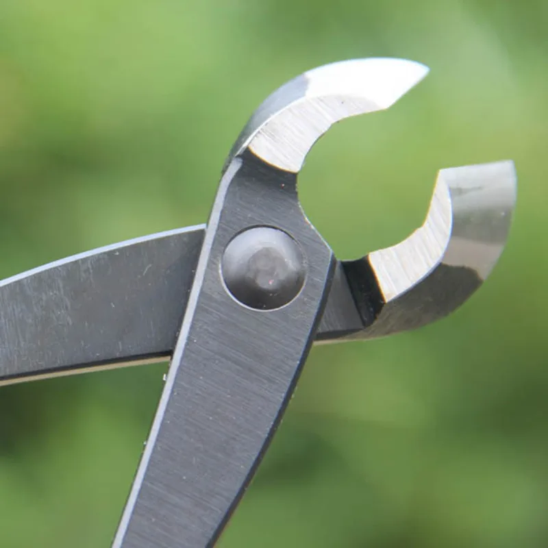 8 Inch Bonsai Concave Branch C - Concave Branch Cutter บทวิจารณ์และราคา