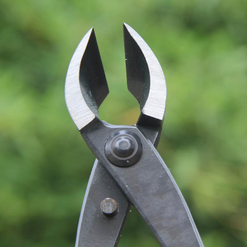 8 Inch Bonsai Concave Branch C - Concave Branch Cutter บทวิจารณ์และราคา